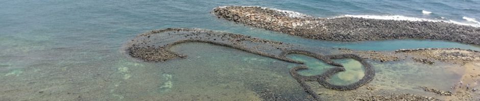 ~~陳經網逝~~